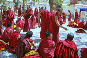 Monks in Tibet