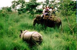 Nepal Jungle Safari